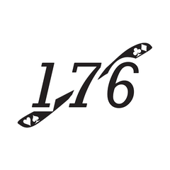 Team 176 Aces High