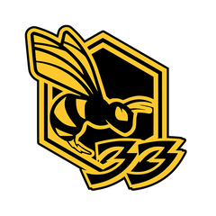 Team 33 Killer Bees
