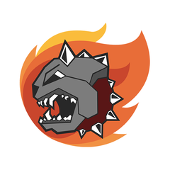 Team 581 Blazing Bulldogs