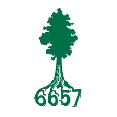 Team 6657 Arborbotics