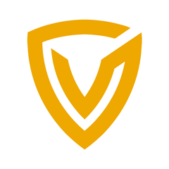 Team 6800 Valor