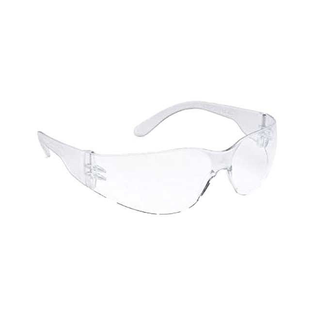 Safety Glasses (Clear, AntiFog)